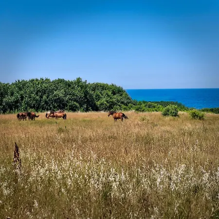 Holiday park къщички поляните Sinemoretz